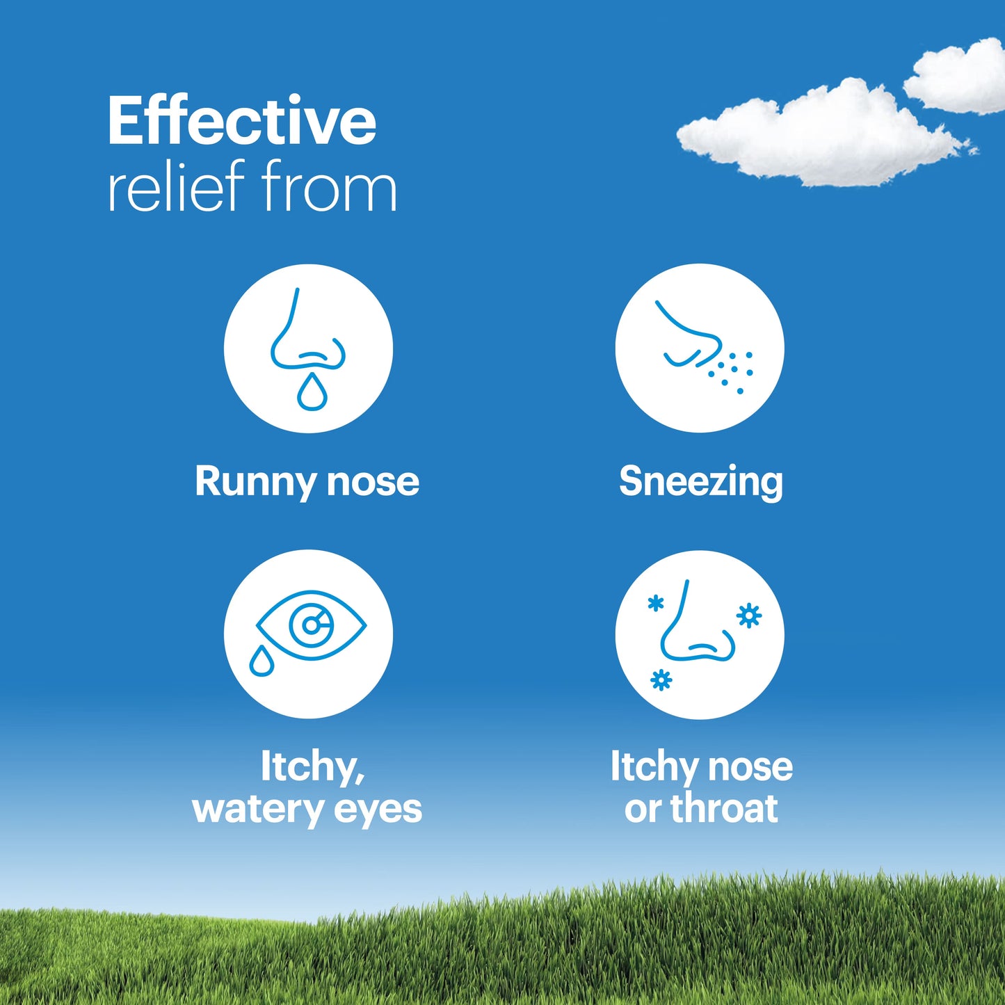 Clarityn Allergy | £2.86 each