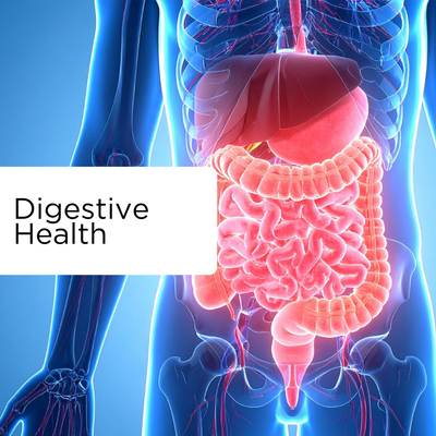 Digestive Health